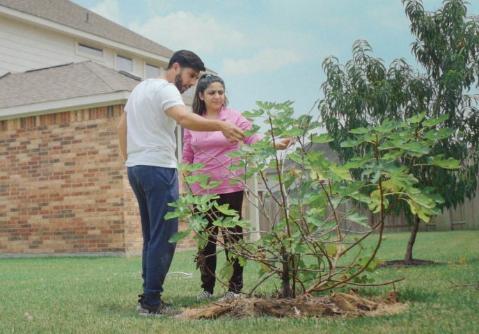 Young couple feel the leaves on a tree in garden